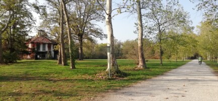 LA STATALE NEL PARCO