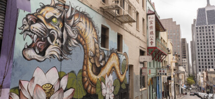 RADICI NEL PASSATO, SGUARDO AL FUTURO